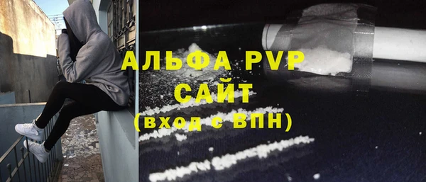 стаф Баксан