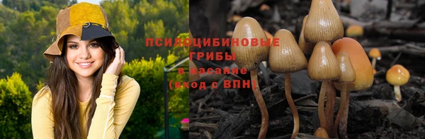 тгк Балабаново