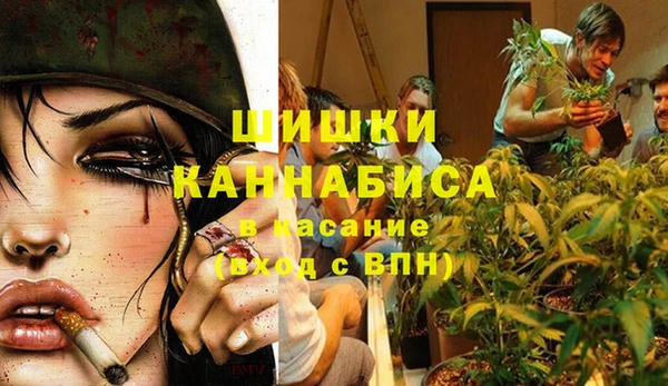 стаф Баксан