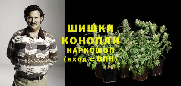 стаф Баксан