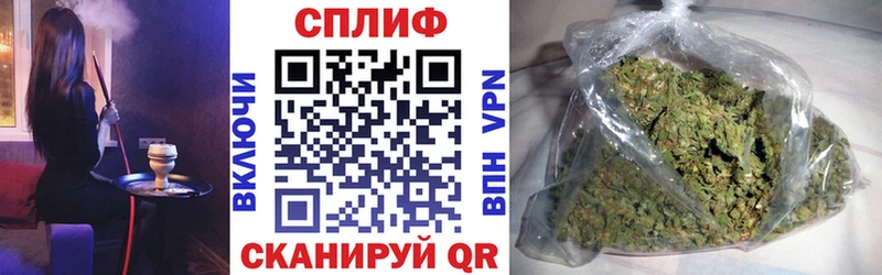 Каннабис OG Kush  Покровск 
